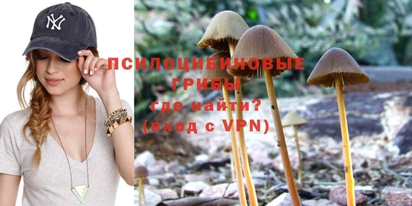 PSILOCYBIN Бронницы